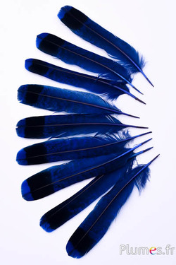 Gélinotte des bois - 11-13 cm - bleu-noir